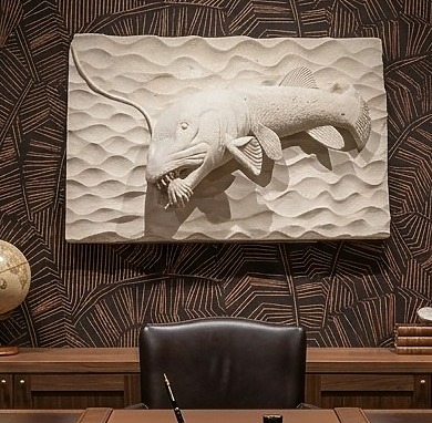 Brochet-haut relief